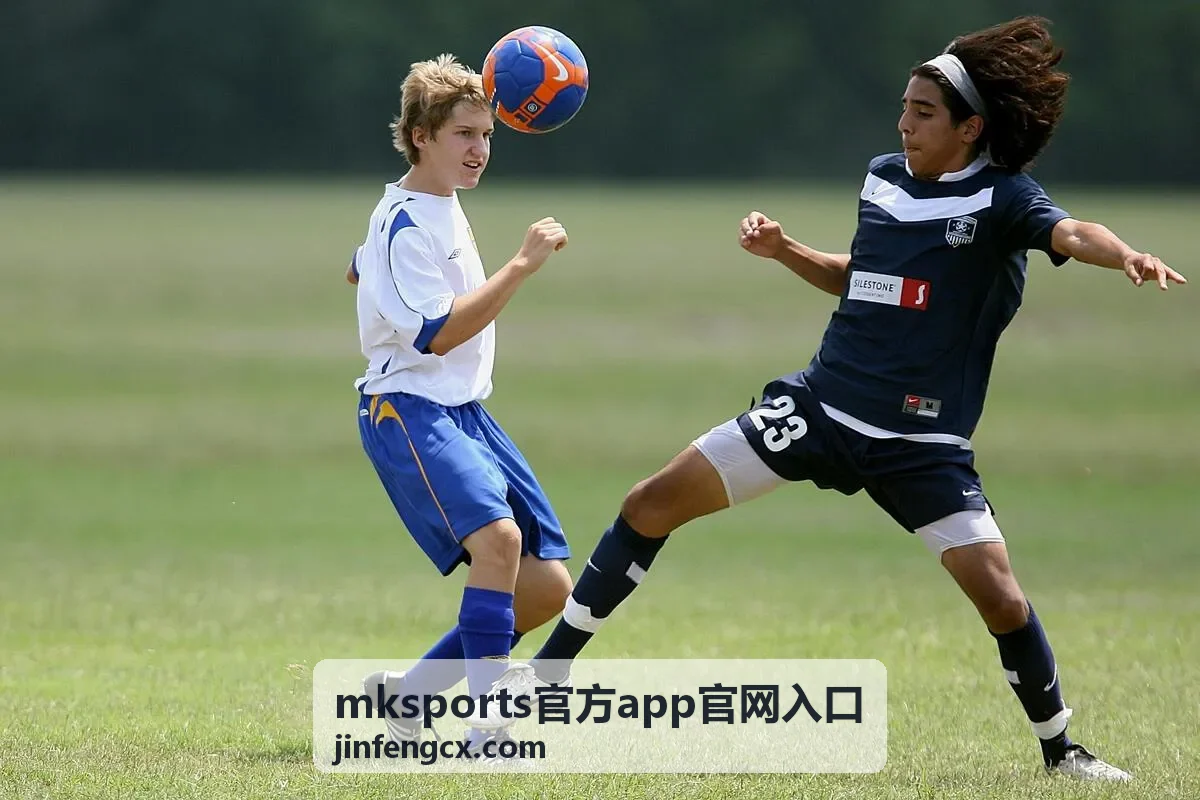 mksports官方app官网入口 可疑弹窗与跳转处理
