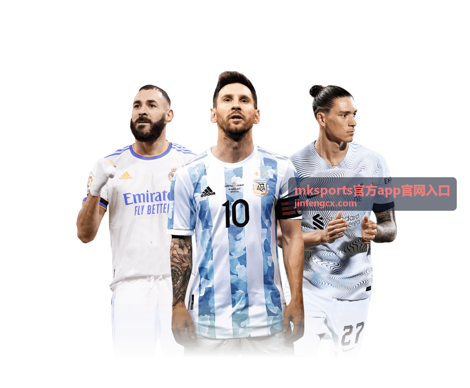 mksports官方app官网入口数据统计面板