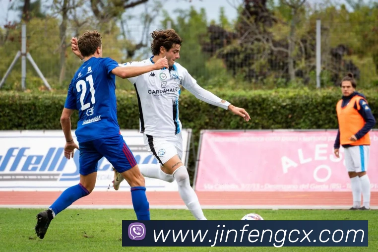 beat365在线登录vipAPP 封面图